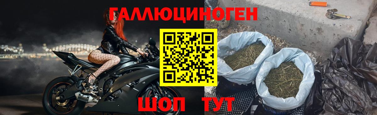 Псилоцибиновые грибы MAGIC MUSHROOMS  Псилоцибиновые грибы Psilocybine cubensis  Вход с VPN  Кисловодск 